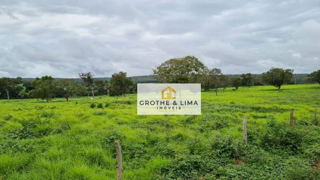 Fazenda à venda de 513 ha em Barrolândia, TO, Brasil