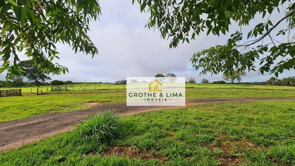 Fazenda à venda de 513 ha em Barrolândia, TO, Brasil