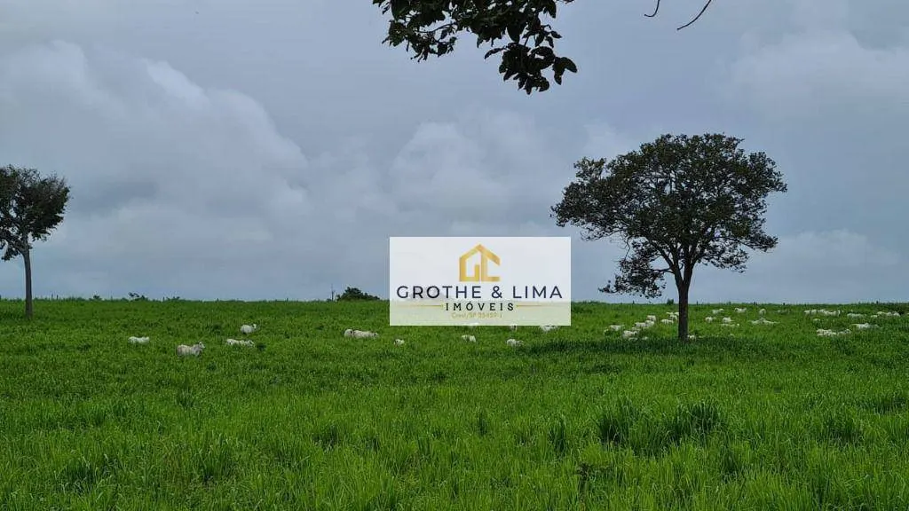 Fazenda à venda de 513 ha em Barrolândia, TO, Brasil
