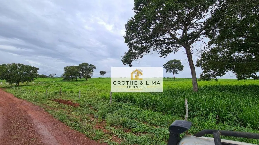 Fazenda à venda de 513 ha em Barrolândia, TO, Brasil