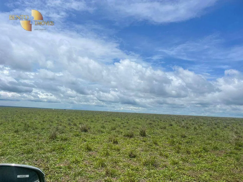 Fazenda à venda de 11.500 ha em Nova Ubiratã, MT, Brasil