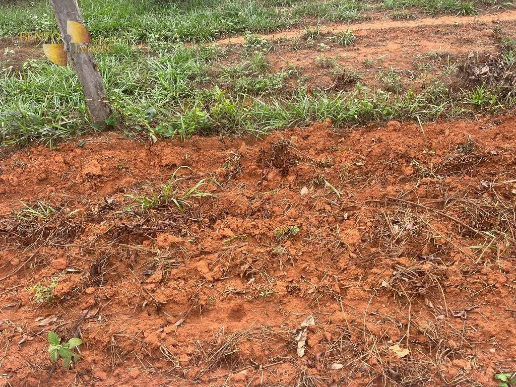 Fazenda à venda de 11.500 ha em Nova Ubiratã, MT, Brasil