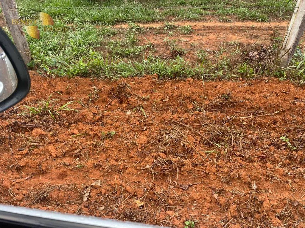 Fazenda à venda de 11.500 ha em Nova Ubiratã, MT, Brasil