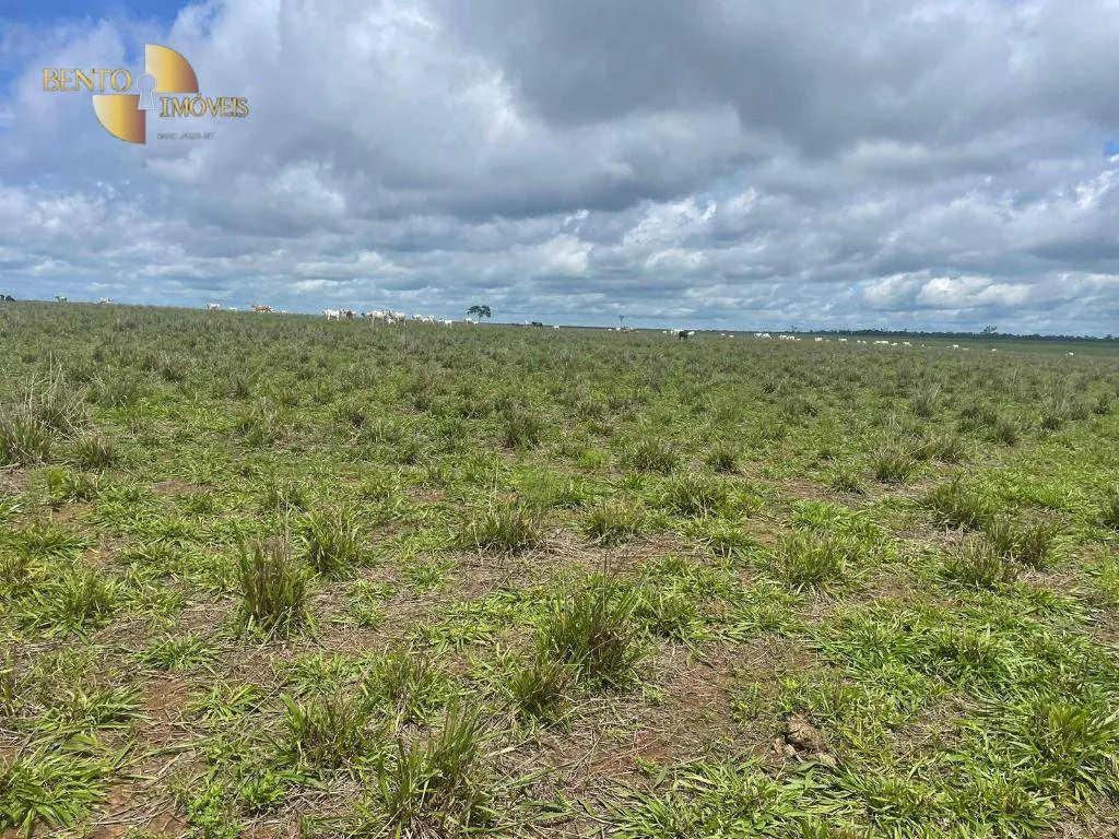 Fazenda à venda de 11.500 ha em Nova Ubiratã, MT, Brasil