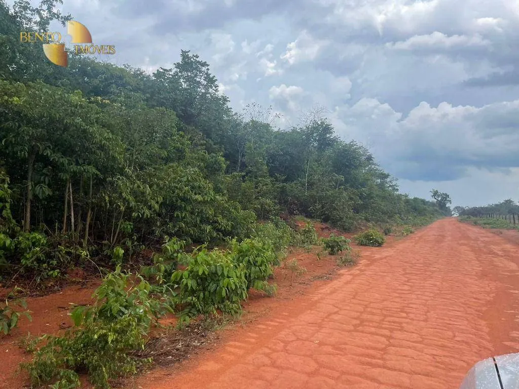 Fazenda à venda de 11.500 ha em Nova Ubiratã, MT, Brasil