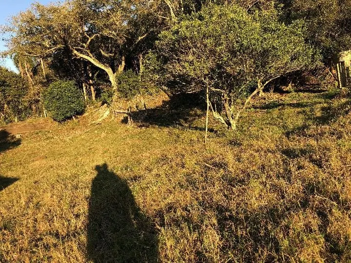 Sítio à venda de 2 ha em Santo Antônio da Patrulha, RS, Brasil