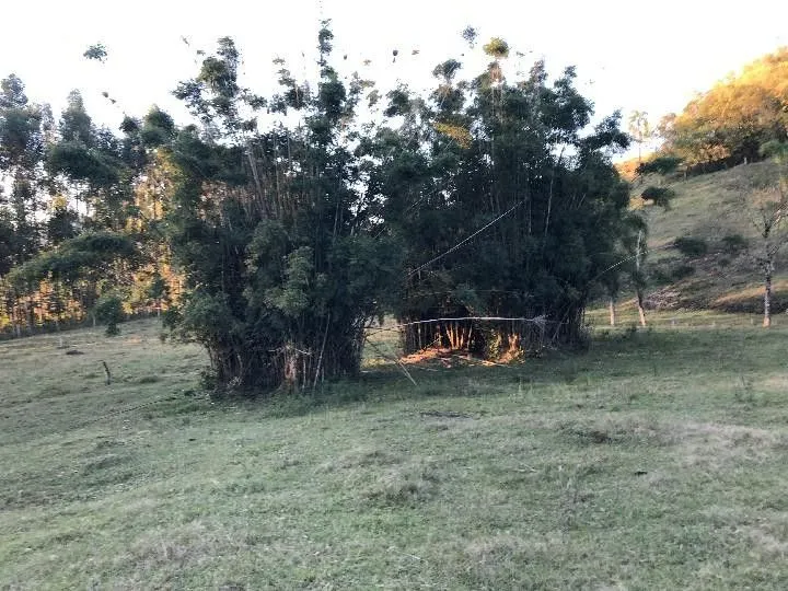 Sítio à venda de 2 ha em Santo Antônio da Patrulha, RS, Brasil