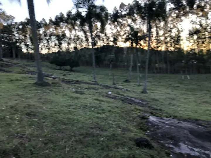 Sítio à venda de 2 ha em Santo Antônio da Patrulha, RS, Brasil