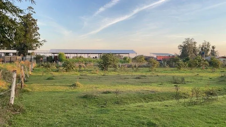 Chácara à venda de 4.800 m² em Santo Antônio da Patrulha, RS, Brasil