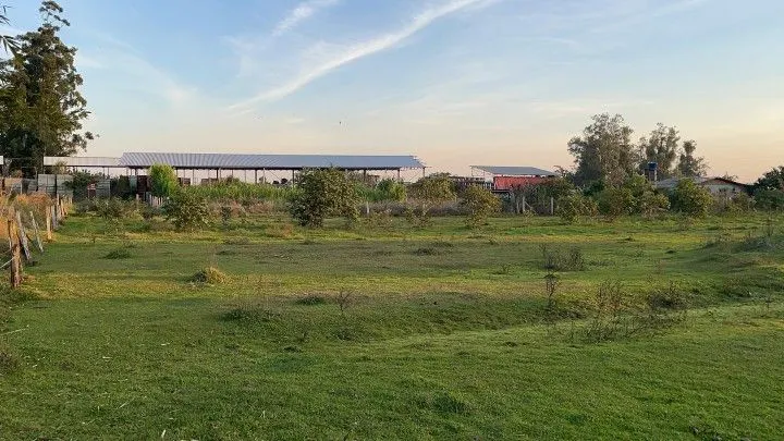 Chácara à venda de 4.800 m² em Santo Antônio da Patrulha, RS, Brasil