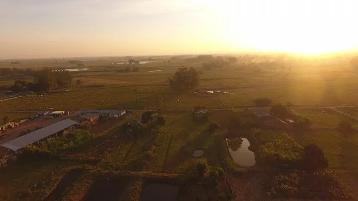 Chácara à venda de 4.800 m² em Santo Antônio da Patrulha, RS, Brasil