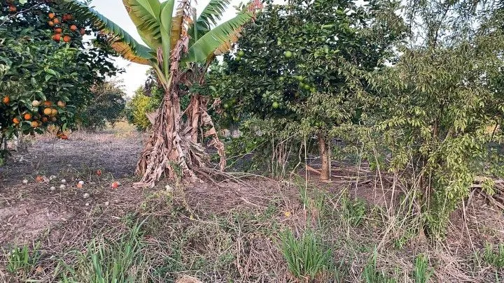 Chácara à venda de 4.800 m² em Santo Antônio da Patrulha, RS, Brasil