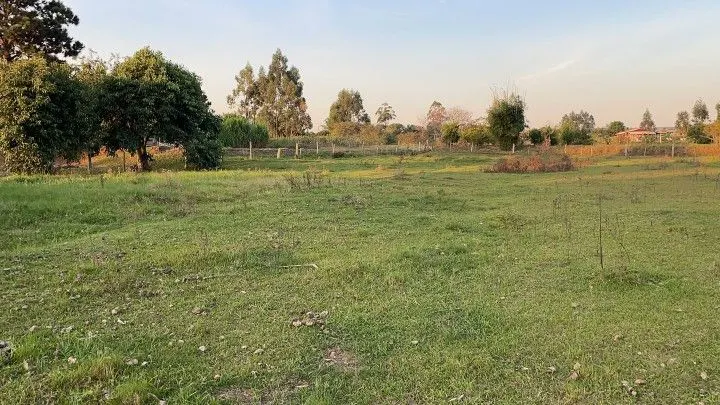 Chácara à venda de 4.800 m² em Santo Antônio da Patrulha, RS, Brasil