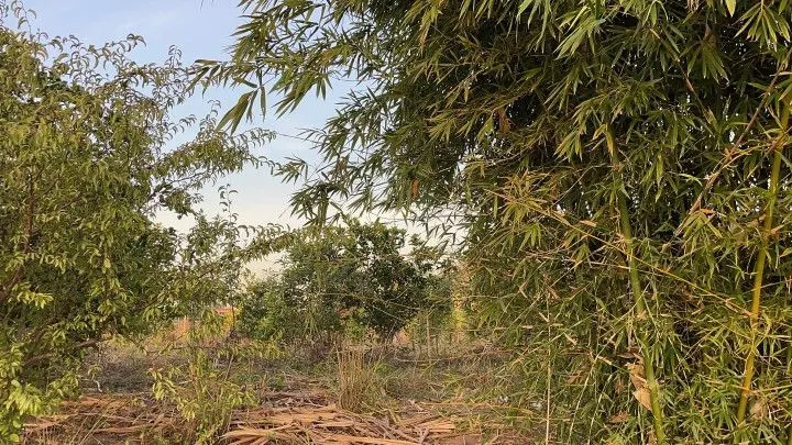 Chácara à venda de 4.800 m² em Santo Antônio da Patrulha, RS, Brasil