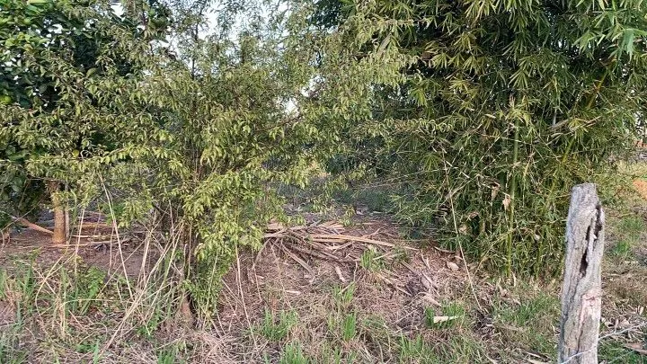 Chácara à venda de 4.800 m² em Santo Antônio da Patrulha, RS, Brasil