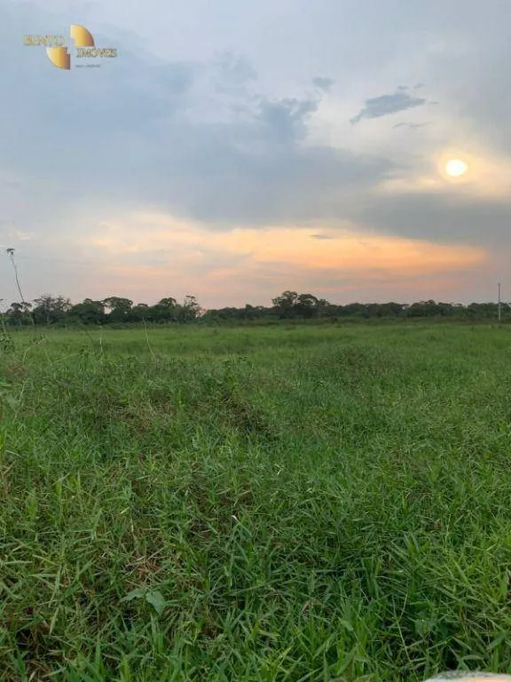 Fazenda à venda de 3.200 ha em Poconé, MT, Brasil