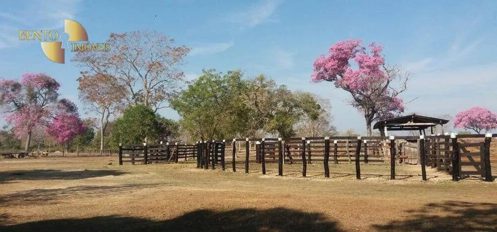 Fazenda à venda de 3.200 ha em Poconé, MT, Brasil