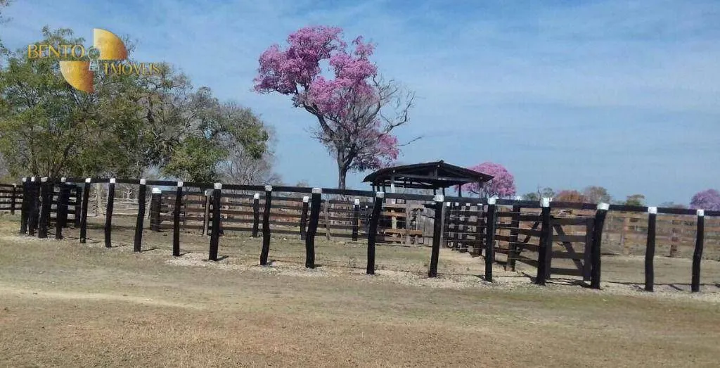 Fazenda à venda de 3.200 ha em Poconé, MT, Brasil