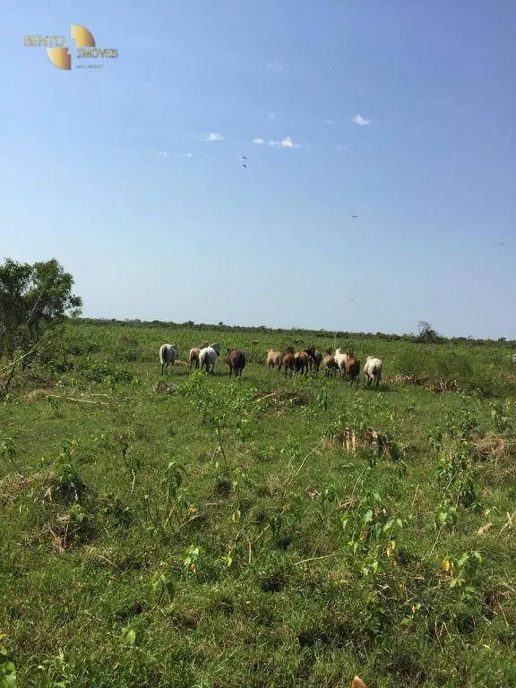 Fazenda à venda de 3.200 ha em Poconé, MT, Brasil