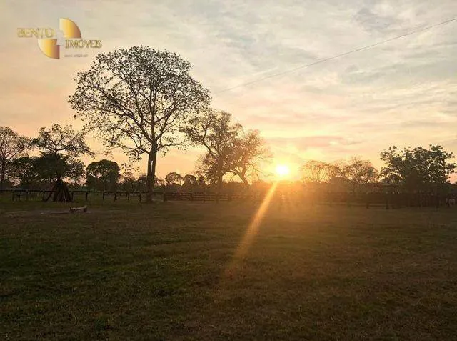 Fazenda à venda de 3.200 ha em Poconé, MT, Brasil
