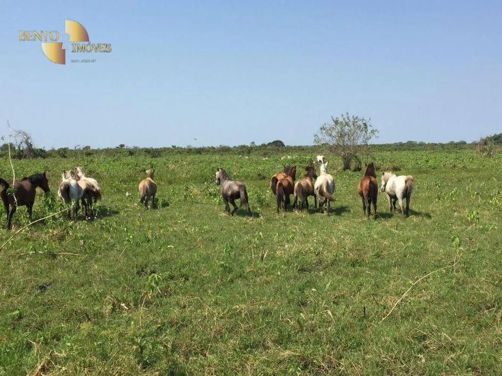 Fazenda à venda de 3.200 ha em Poconé, MT, Brasil
