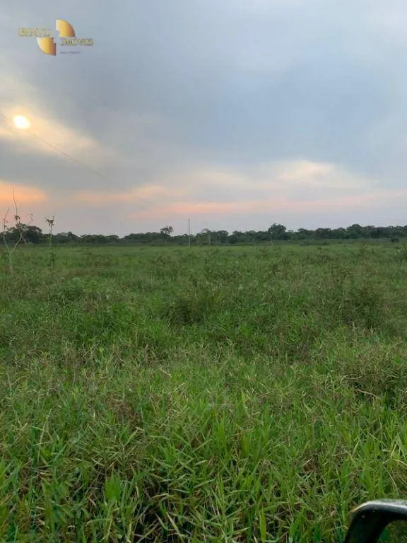 Fazenda à venda de 3.200 ha em Poconé, MT, Brasil