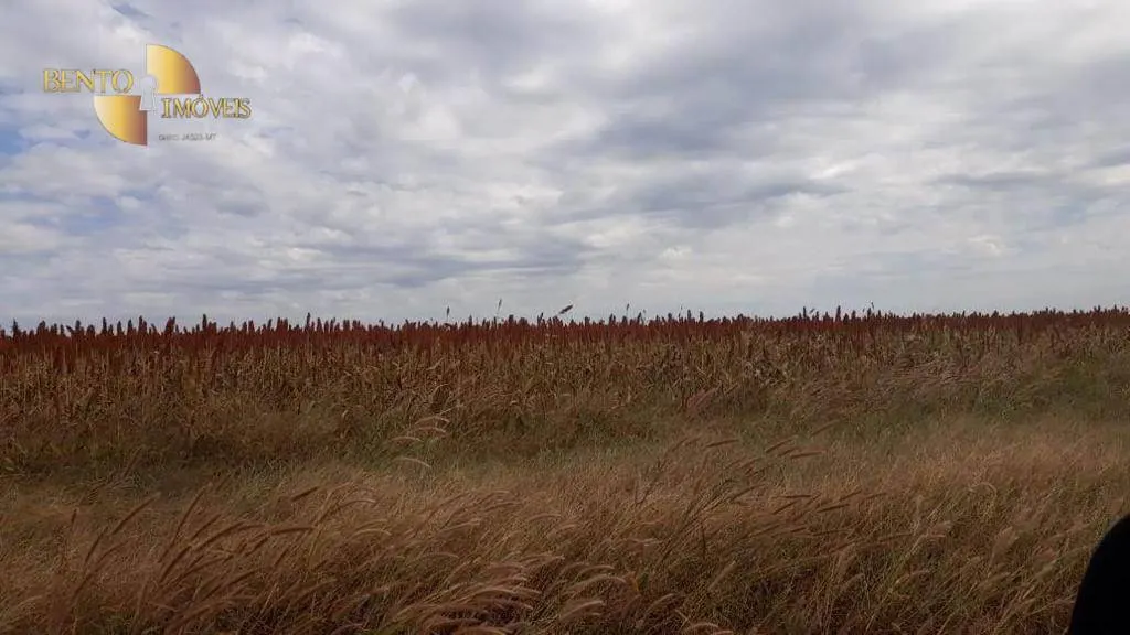Farm for sale of 90,744 acres in Luciara, MT, Brazil