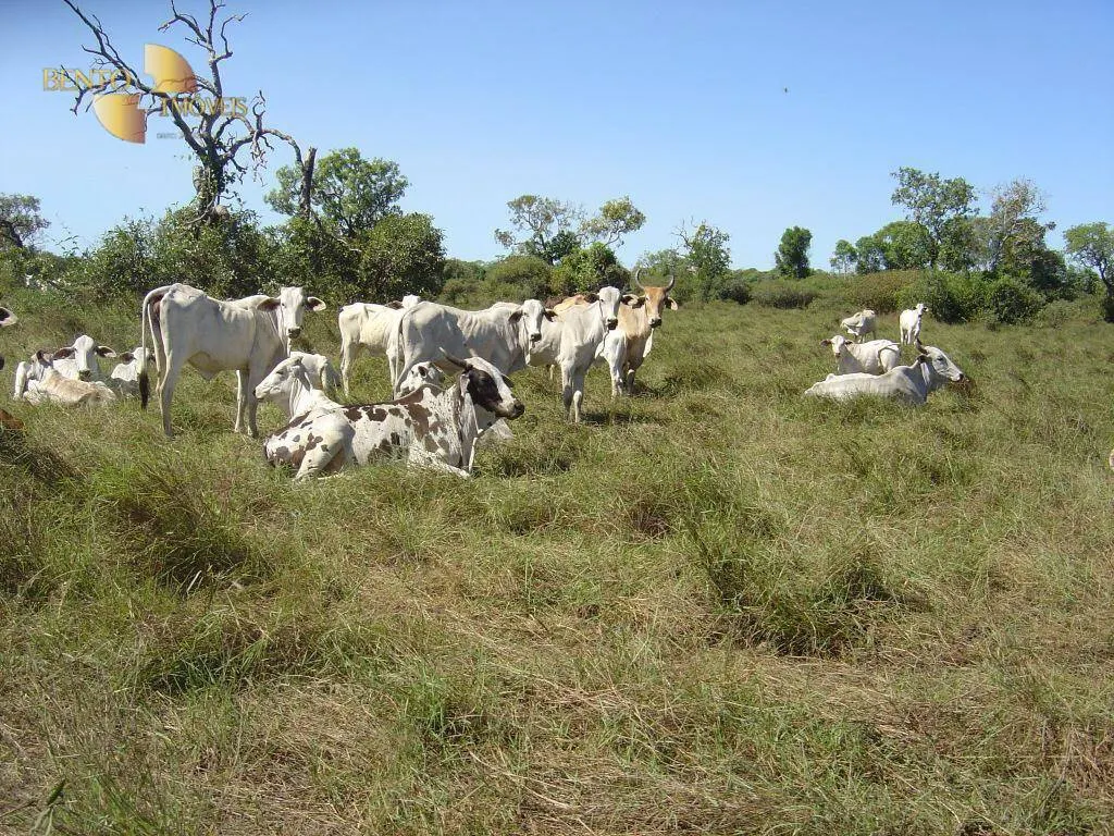 Farm for sale of 90,744 acres in Luciara, MT, Brazil