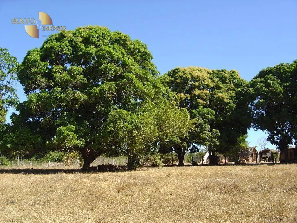 Farm for sale of 90,744 acres in Luciara, MT, Brazil