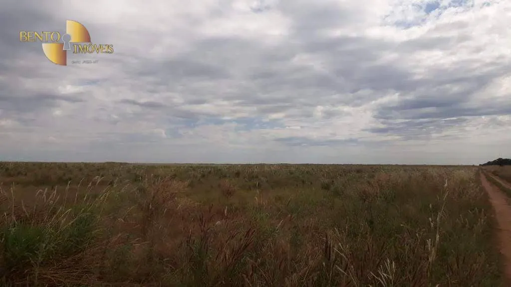 Farm for sale of 90,744 acres in Luciara, MT, Brazil