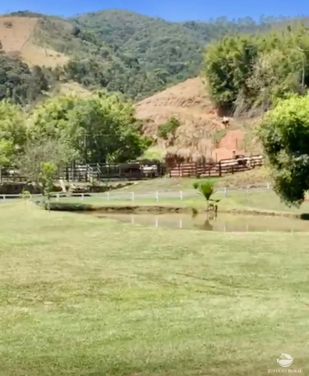 Fazenda à venda de 242 ha em Roseira, SP, Brasil