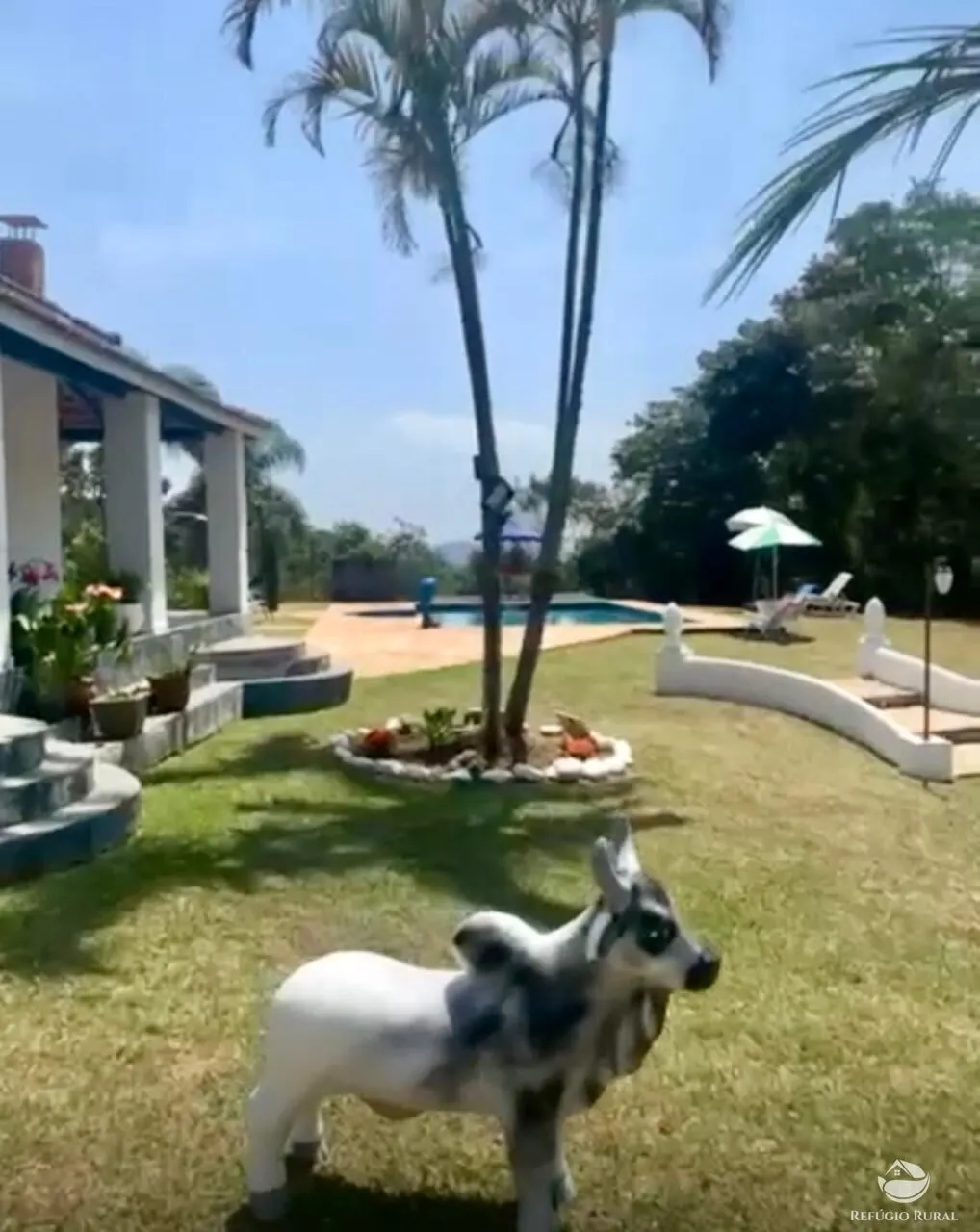 Fazenda à venda de 242 ha em Roseira, SP, Brasil