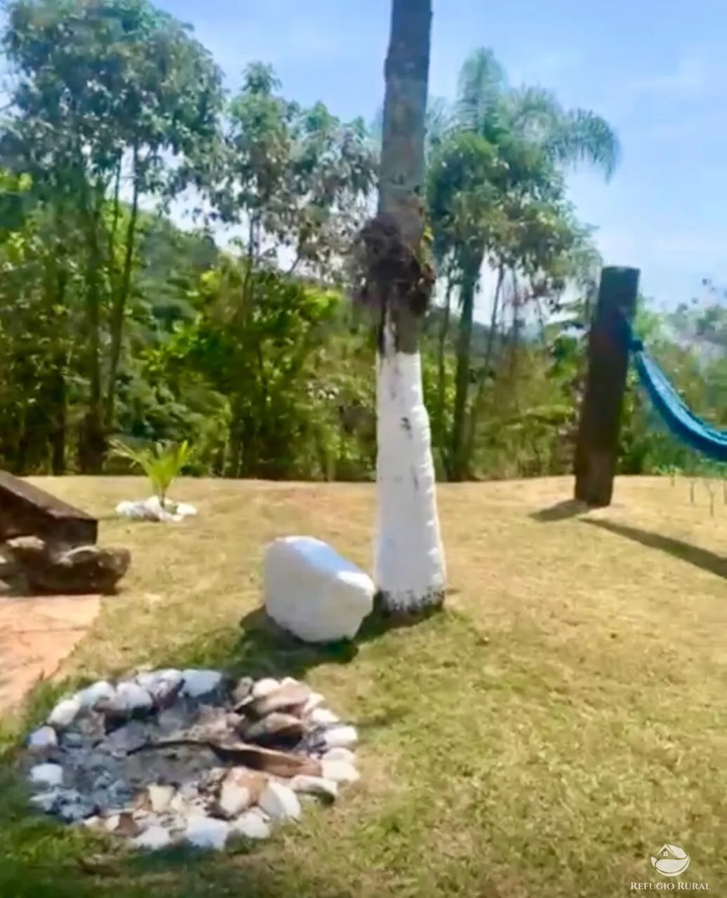 Fazenda à venda de 242 ha em Roseira, SP, Brasil