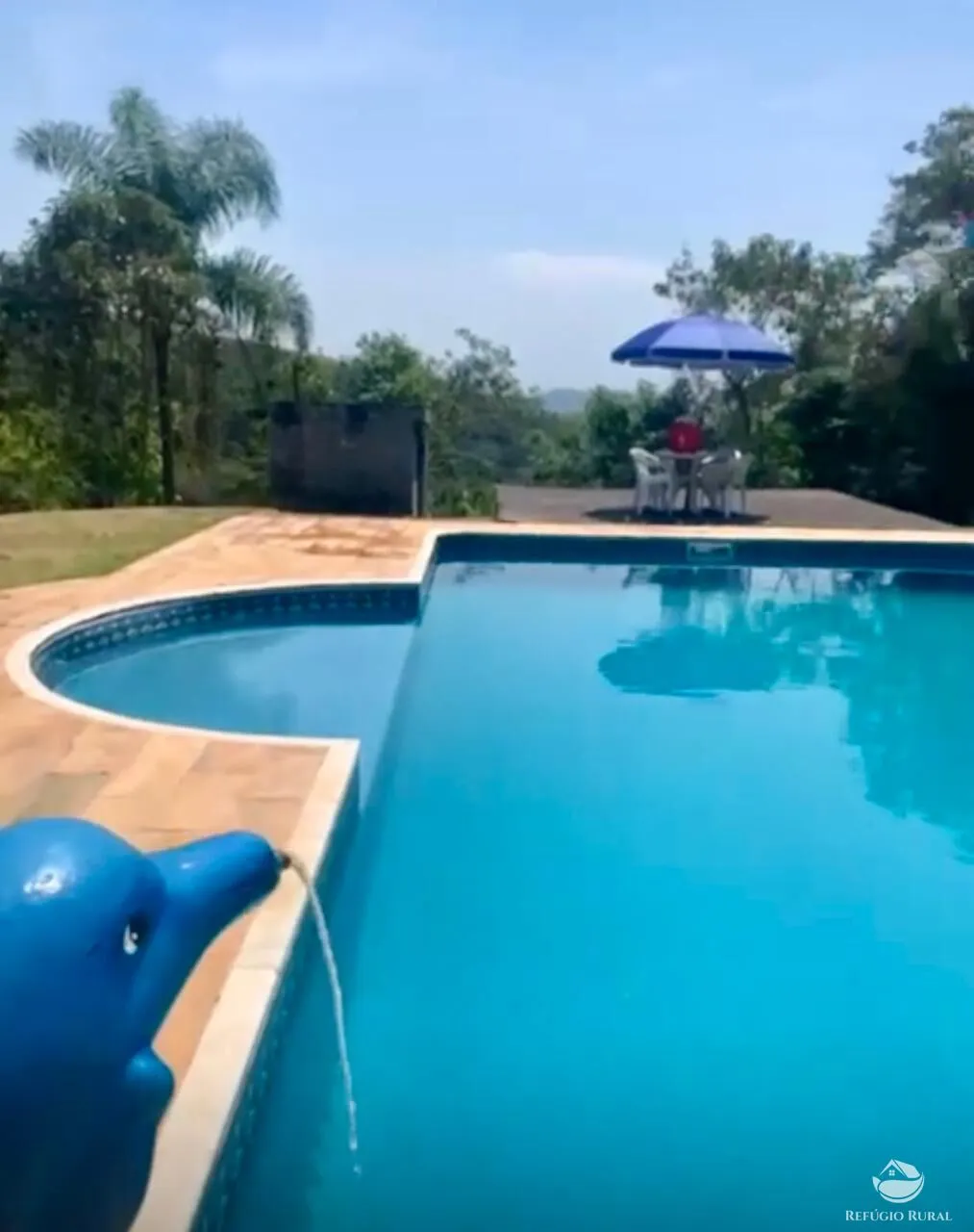 Fazenda à venda de 242 ha em Roseira, SP, Brasil