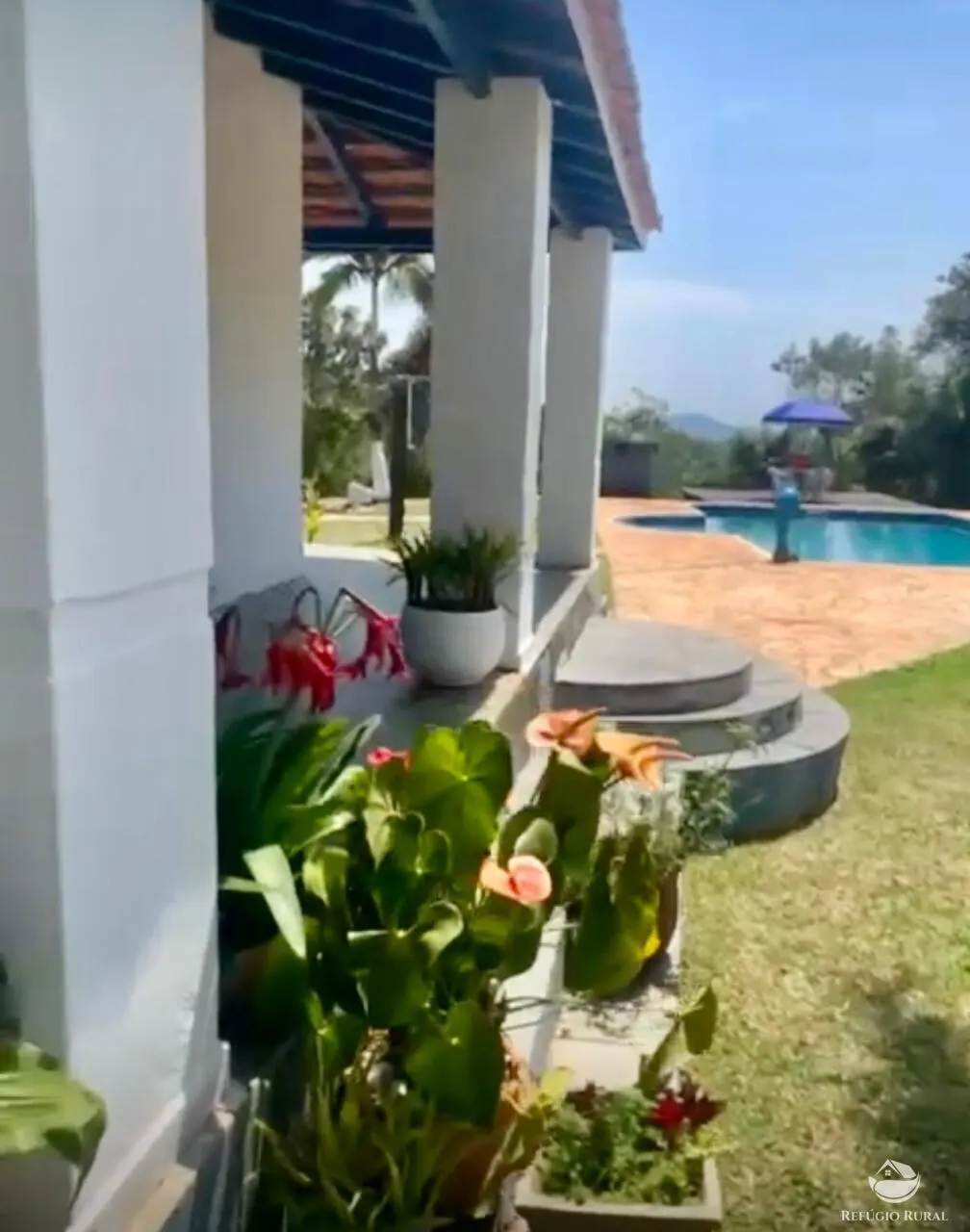 Fazenda à venda de 242 ha em Roseira, SP, Brasil