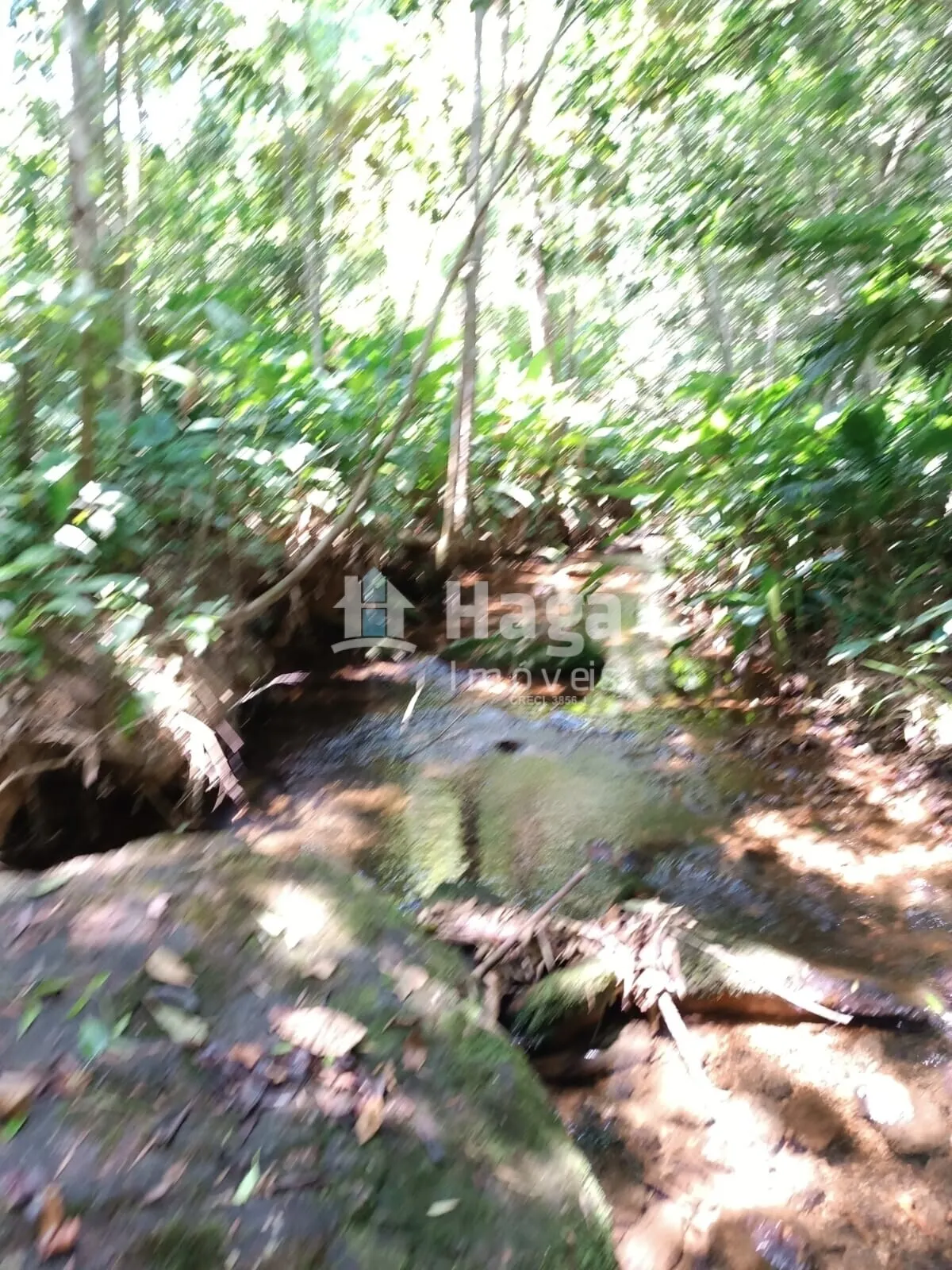 Terreno à venda de 2 ha em Itajaí, SC, Brasil