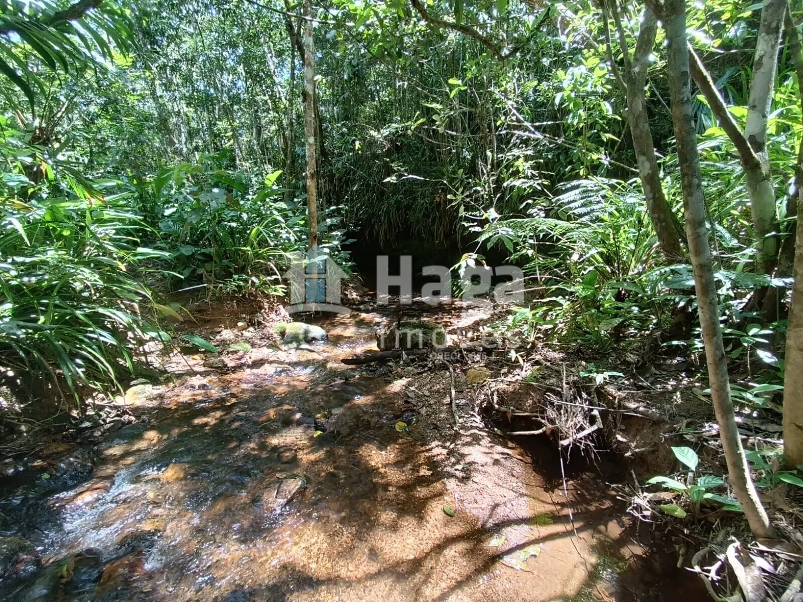 Terreno à venda de 2 ha em Itajaí, SC, Brasil