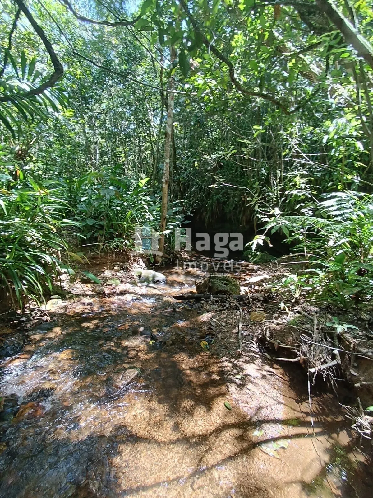 Terreno à venda de 2 ha em Itajaí, SC, Brasil