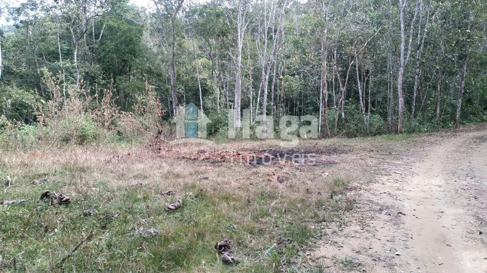 Terreno à venda de 2 ha em Itajaí, SC, Brasil