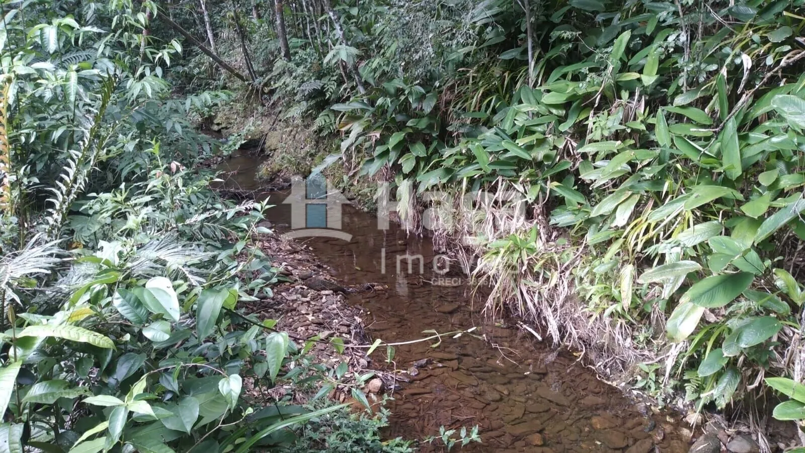 Terreno à venda de 2 ha em Itajaí, SC, Brasil