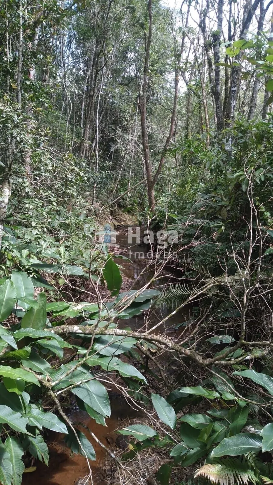 Terreno à venda de 2 ha em Itajaí, SC, Brasil