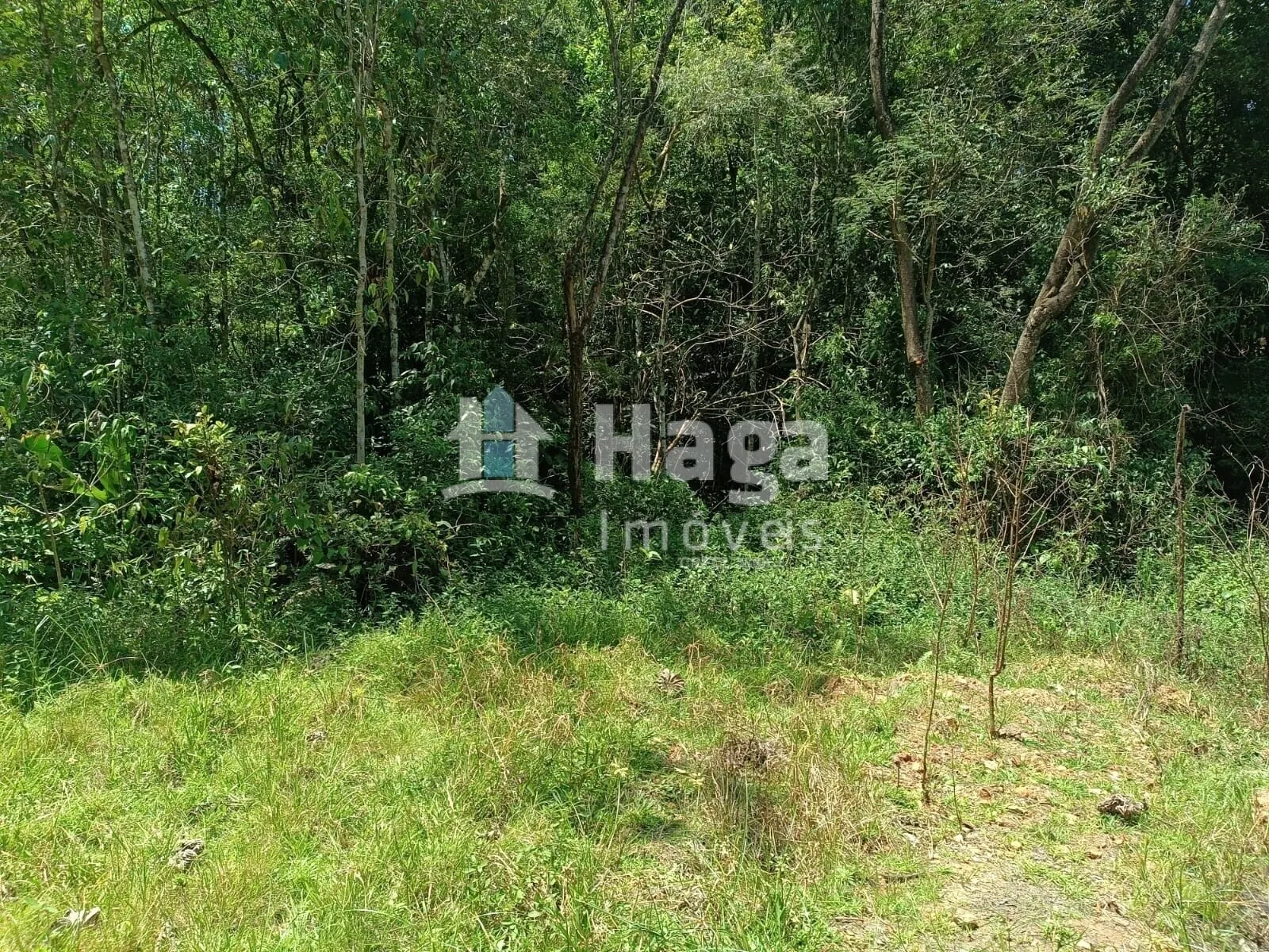 Terreno à venda de 2 ha em Itajaí, SC, Brasil