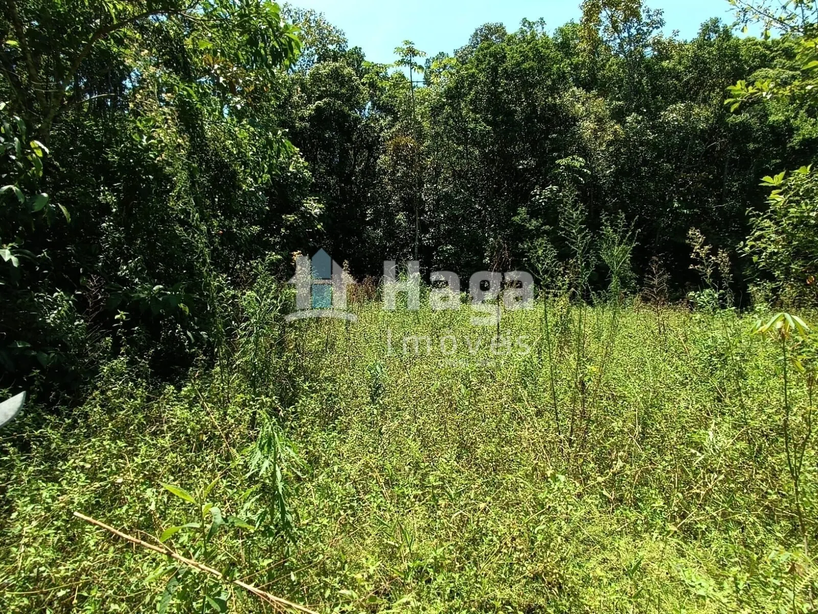 Terreno à venda de 2 ha em Itajaí, SC, Brasil