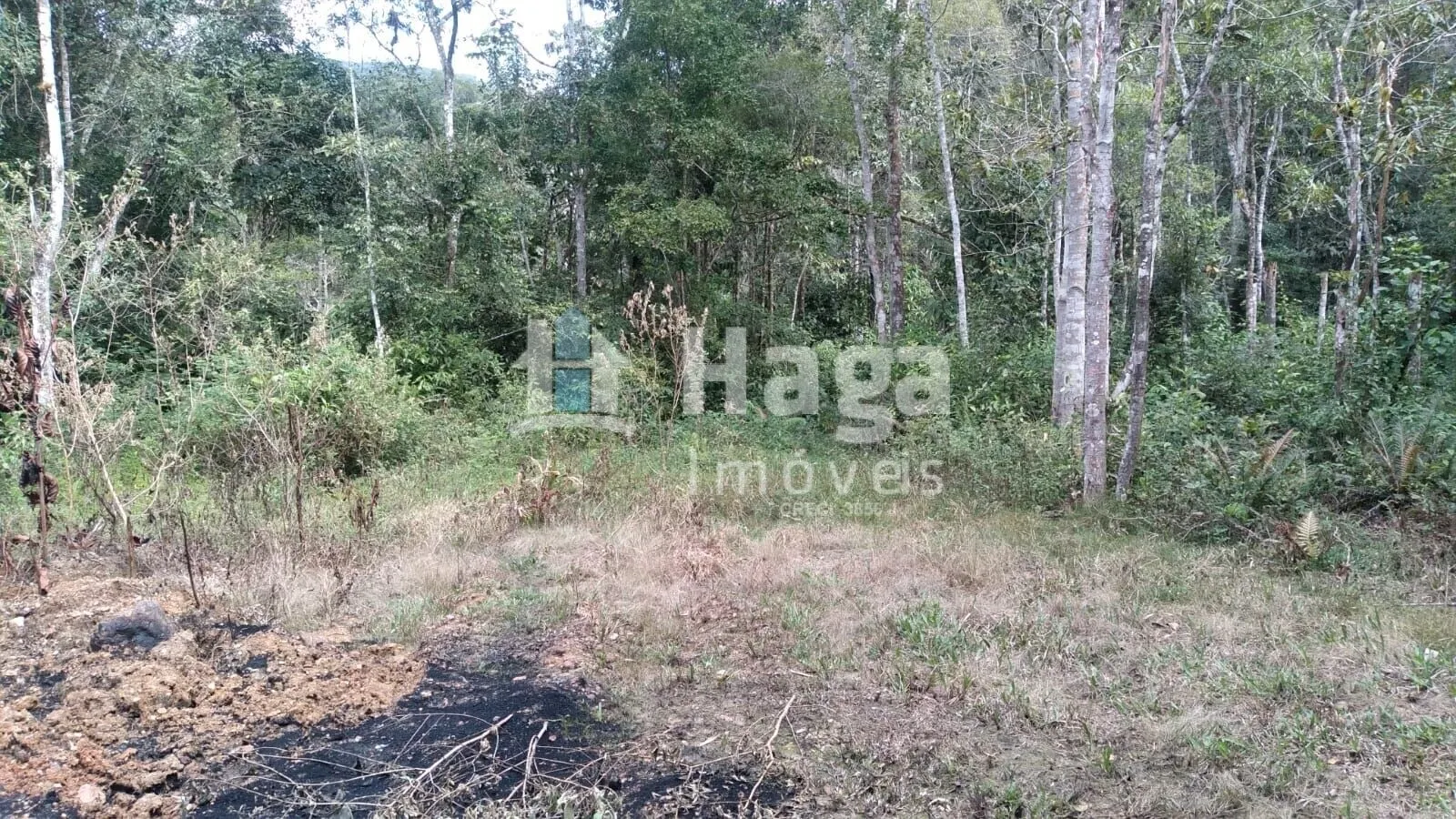 Terreno à venda de 2 ha em Itajaí, SC, Brasil