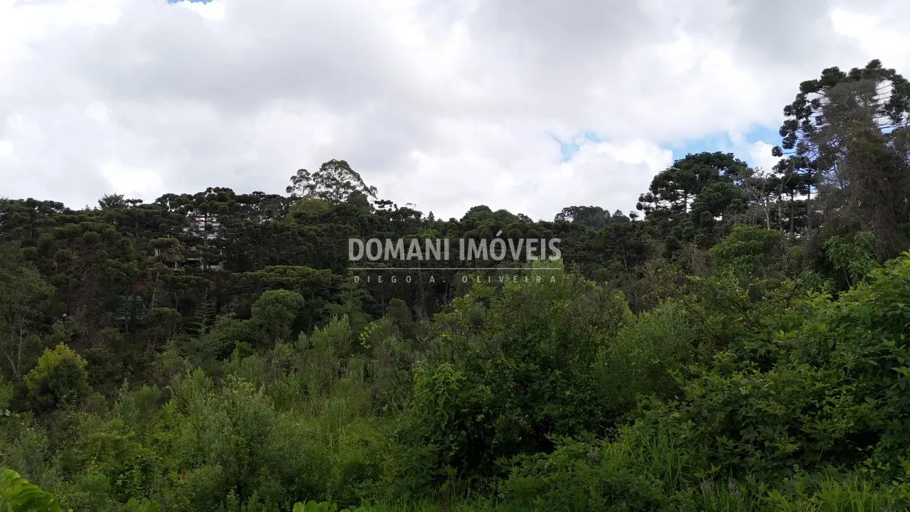Plot for sale of 1,590 m² in Campos do Jordão, SP, Brazil
