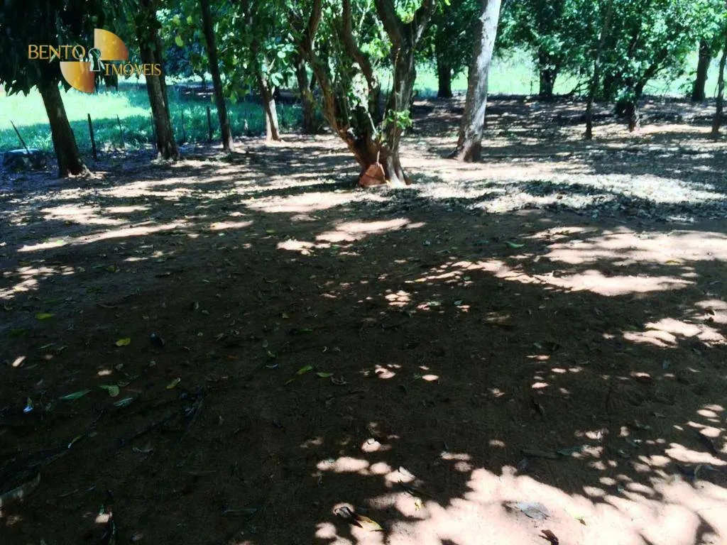 Farm for sale of 1,735 acres in Cuiabá, MT, Brazil
