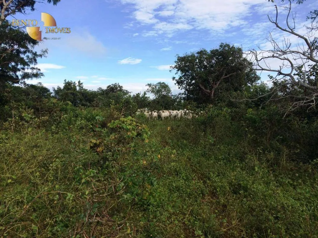 Farm for sale of 1,735 acres in Cuiabá, MT, Brazil