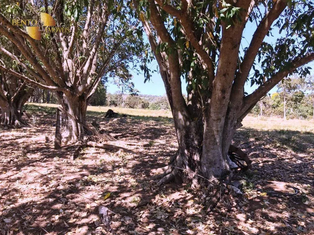 Farm for sale of 1,735 acres in Cuiabá, MT, Brazil