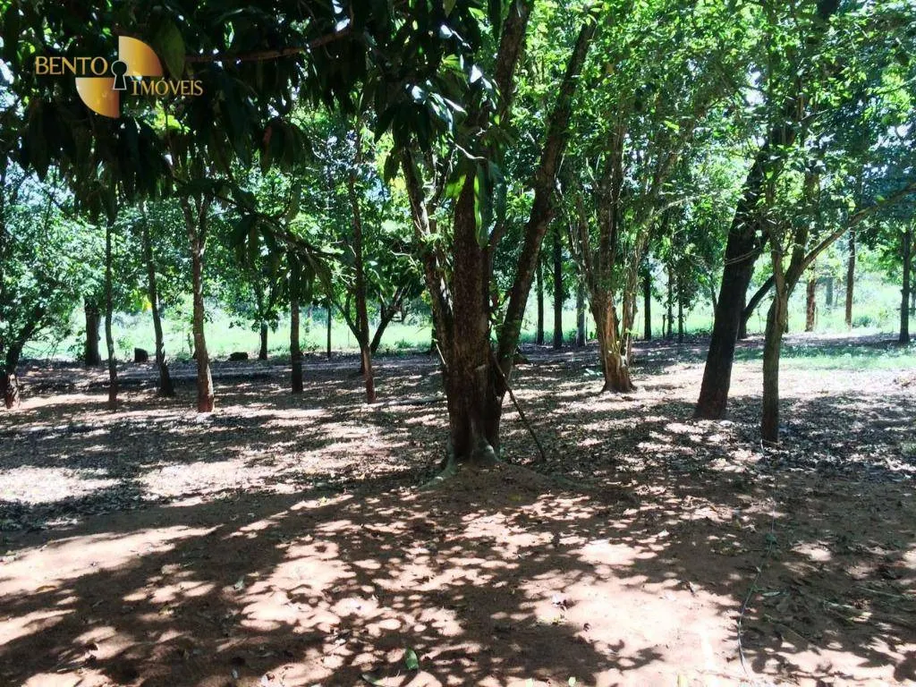 Farm for sale of 1,735 acres in Cuiabá, MT, Brazil