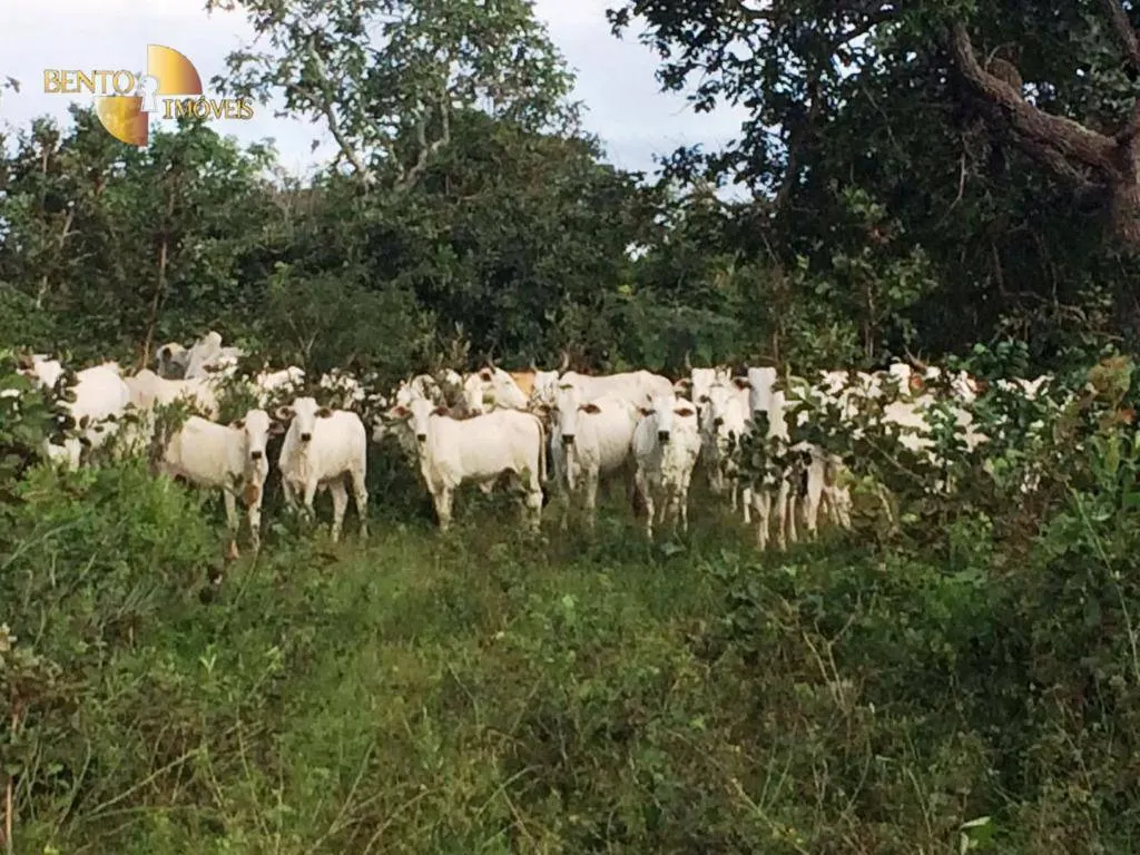 Farm for sale of 1,735 acres in Cuiabá, MT, Brazil